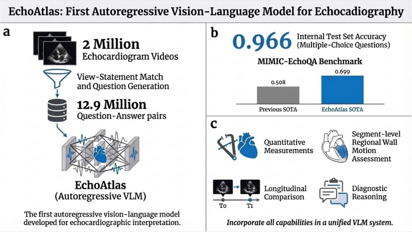 EchoAtlas: A Conversational, Multi-View Vision-Language Foundation Model for Echocardiography Interpretation and Clinical Reasoning