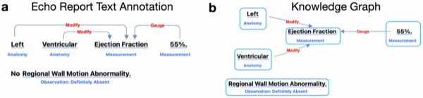 EchoGraph: Automated Quality Assessment of Echocardiography Reports