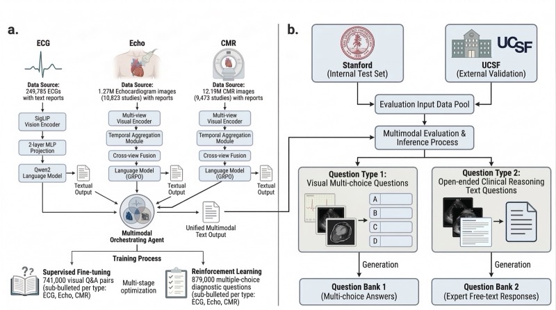 MARCUS: An Agentic, Multimodal Vision-Language Model for Cardiac Diagnosis and Management